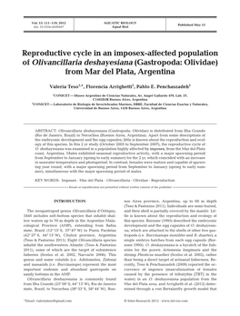 Reproductive Cycle in an Imposex-Affected Population of Olivancillaria Deshayesiana (Gastropoda: Olividae) from Mar Del Plata, Argentina