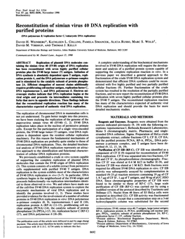 Purified Proteins (DNA Polymerase 6/Replication Factor C/Eukaryotic DNA Replication) DAVID H