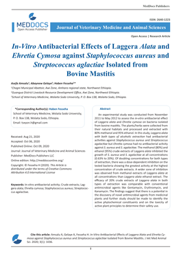 In-Vitro Antibacterial Effects of Laggera Alata and Ehretia Cymosa Against Staphylococcus Aureus and Streptococcus Aglactiae Isolated from Bovine Mastitis