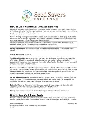 How to Grow Cauliflower (Brassica Oleracea) How to Save Cauliflower