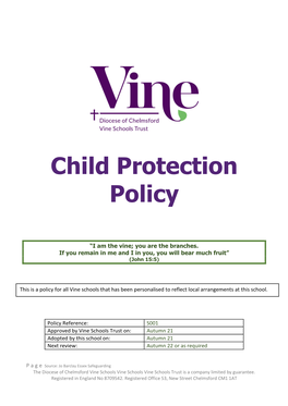 The Diocese of Chelmsford Vine Schools Trust Is a Company Limited