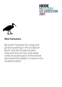 Mini Twitchers Be a Mini Twitcher for a Day and Go Bird Spotting in The