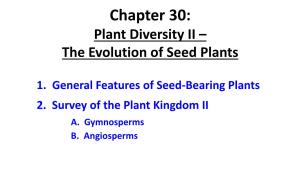 Chapter 30: Plant Diversity II – the Evolution of Seed Plants