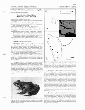 Catalogue of American Amphibians and Reptiles. Leptodactylus Fallux