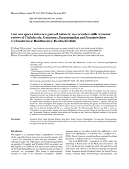 Four New Species and a New Genus of Antarctic Sea Cucumbers With