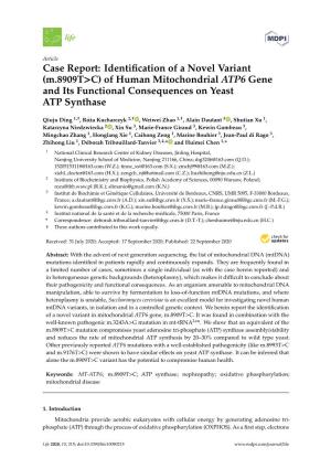 Of Human Mitochondrial ATP6 Gene and Its Functional Consequences on Yeast ATP Synthase