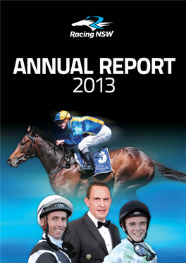 2013 Annual Report