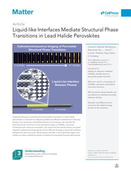 Liquid-Like Interfaces Mediate Structural Phase Transitions in Lead Halide Perovskites