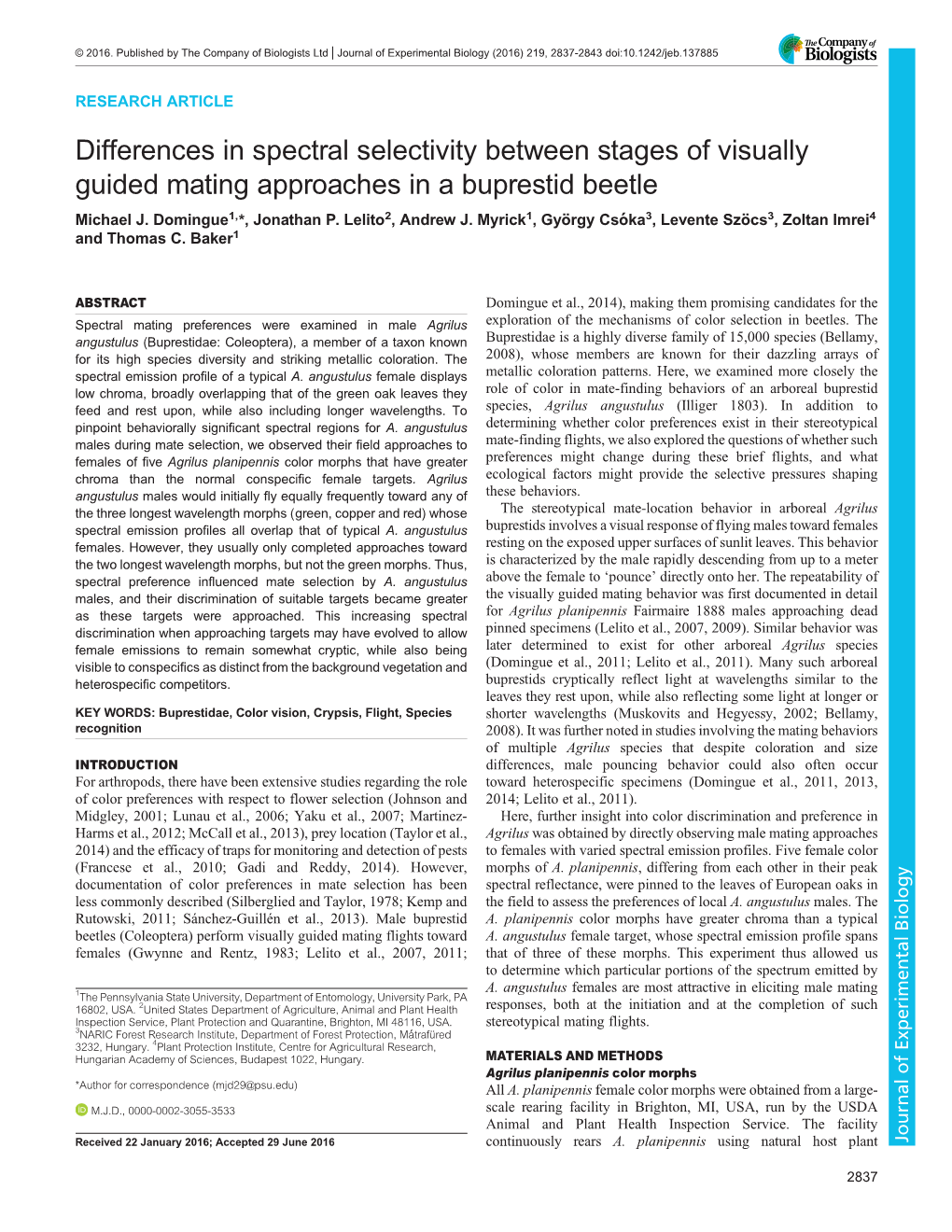 Differences in Spectral Selectivity Between Stages of Visually Guided Mating Approaches in a Buprestid Beetle Michael J