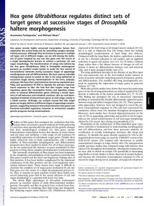 Hox Gene Ultrabithorax Regulates Distinct Sets of Target Genes at Successive Stages of Drosophila Haltere Morphogenesis