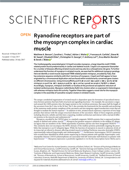 Ryanodine Receptors Are Part of the Myospryn Complex in Cardiac Muscle