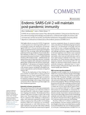 Endemic SARS-Cov-2 Will Maintain Post-Pandemic Immunity