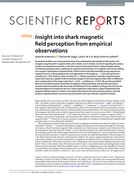 Insight Into Shark Magnetic Field Perception from Empirical