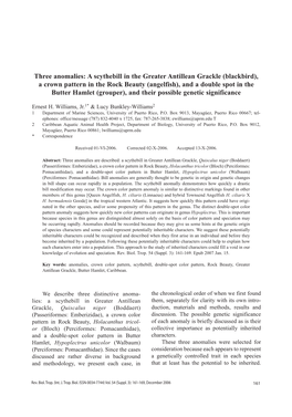 Three Anomalies: a Scythebill in the Greater Antillean Grackle (Blackbird