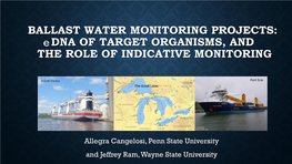 BALLAST WATER MONITORING PROJECTS: E DNA of TARGET ORGANISMS, and the ROLE of INDICATIVE MONITORING