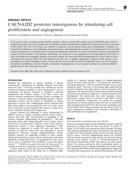 CACNA2D2 Promotes Tumorigenesis by Stimulating Cell Proliferation and Angiogenesis