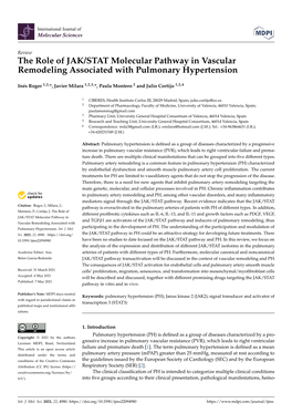The Role of JAK/STAT Molecular Pathway in Vascular Remodeling Associated with Pulmonary Hypertension