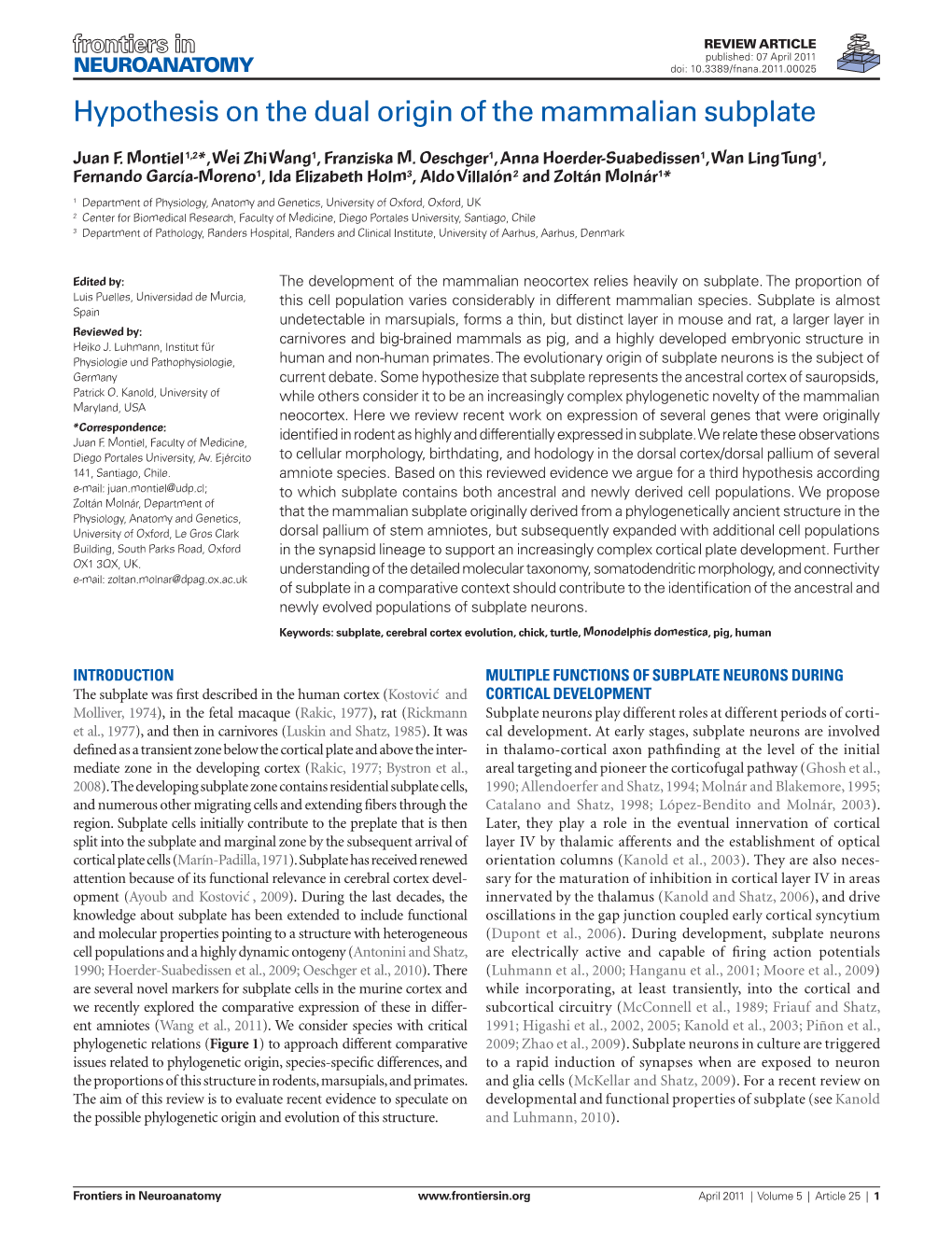 Hypothesis on the Dual Origin of the Mammalian Subplate