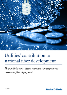 Utilities' Contribution to National Fiber Development