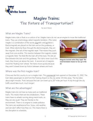 Maglev Trains: the Future of Transportation?