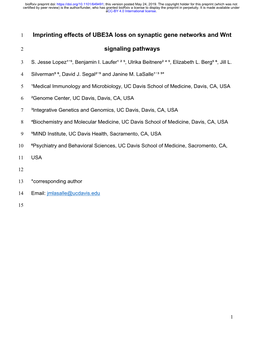 Imprinting Effects of UBE3A Loss on Synaptic Gene Networks and Wnt