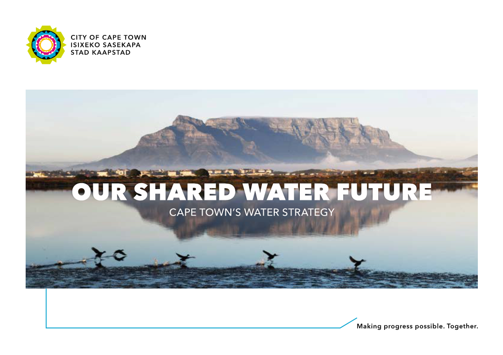 City Of Cape Town S Water Strategy Document Our Shared Water Future Docslib