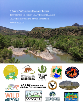 Citizen's Coaltion Comment Letter on the Tonto National Forest Draft Fores Plan and Draft Envriomental Impact