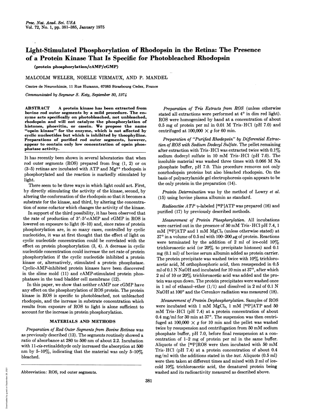 Light-Stimulated Phosphorylation of Rhodopsin in the Retina