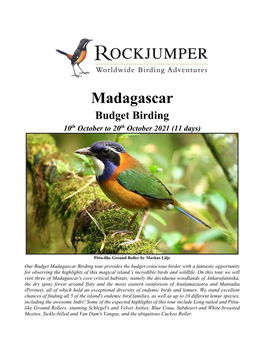 Madagascar Budget Birding 10Th October to 20Th October 2021 (11 Days)