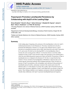 Tropomyosin Promotes Lamellipodial Persistence by Collaborating with Arp2/3 at the Leading Edge