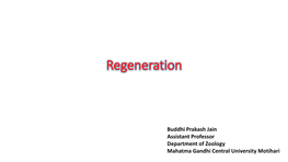 Lecture on Regeneration