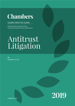 Antitrust Litigation Working Group