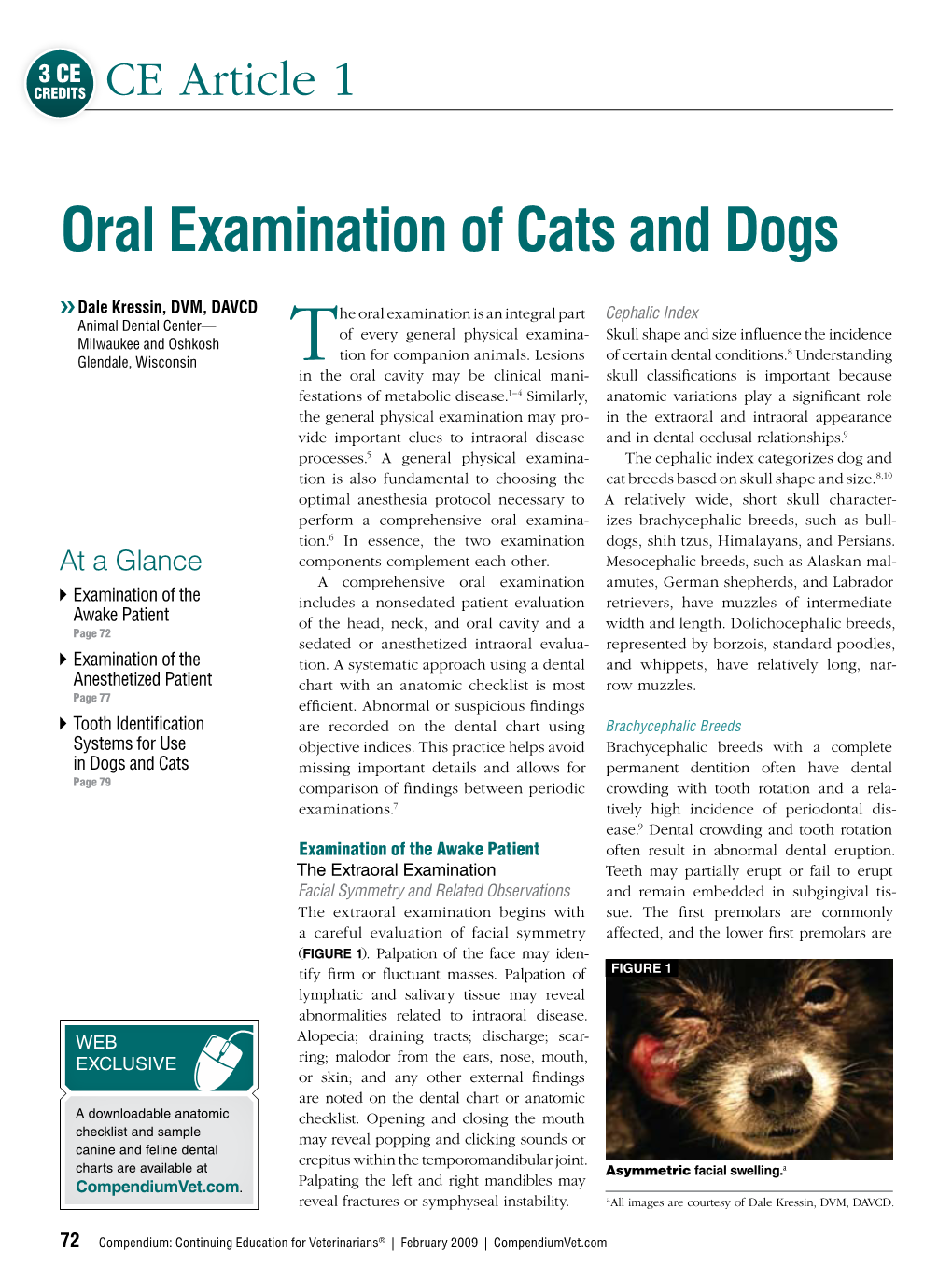 Oral Examination of Cats and Dogs