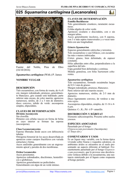 025 Squamarina Cartilaginea (Lecanorales)