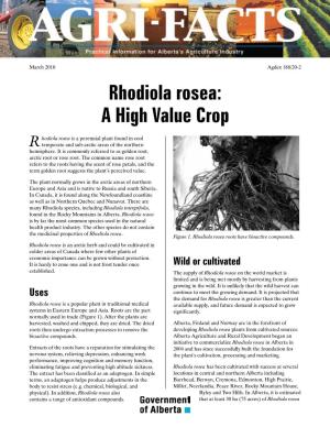 Rhodiola Rosea: a High Value Crop