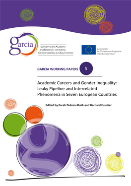 Academic Careers and Gender Inequality: Leaky Pipeline and Interrelated Phenomena in Seven European Countries