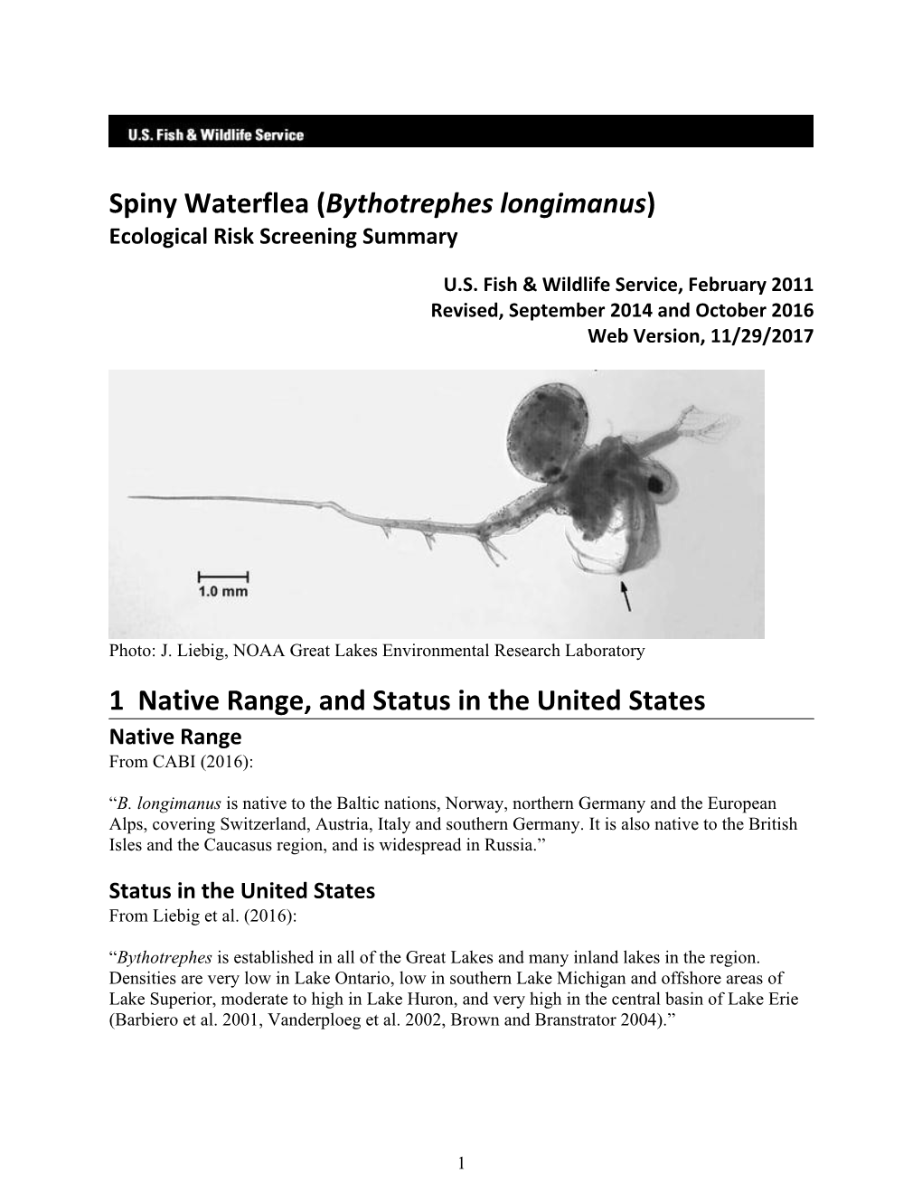 ERSS-Spiny Waterflea (Bythotrephes Longimanus)