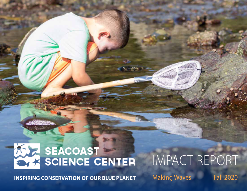 Fall 2020 Impact Report