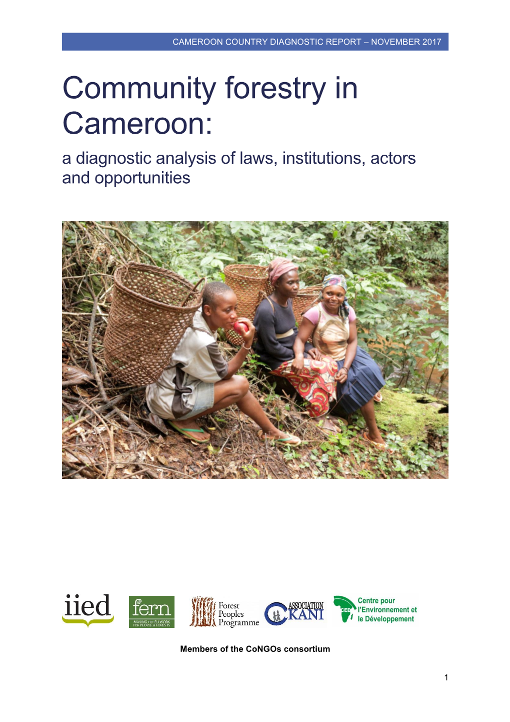 Community Forestry in Cameroon: a Diagnostic Analysis of Laws, Institutions, Actors and Opportunities