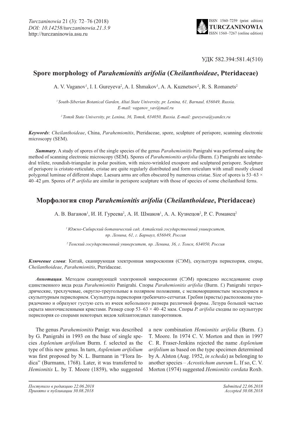 Spore Morphology of Parahemionitis Arifolia (Cheilanthoideae, Pteridaceae)