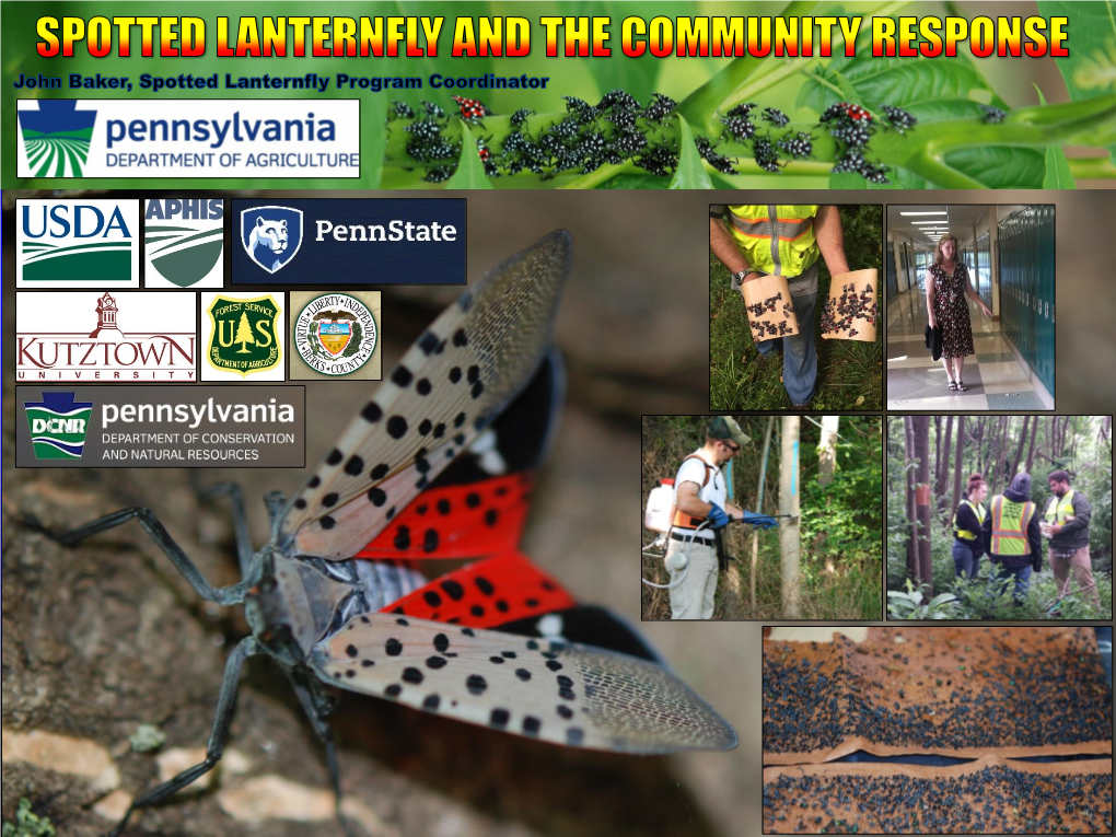 Spotted Lanternfly Community Response