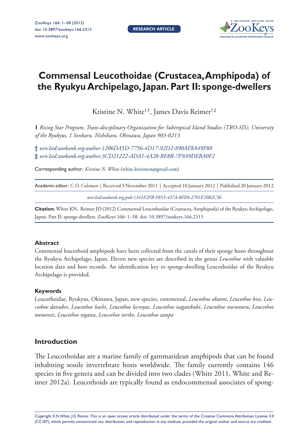 Commensal Leucothoidae (Crustacea, Amphipoda) of the Ryukyu Archipelago, Japan