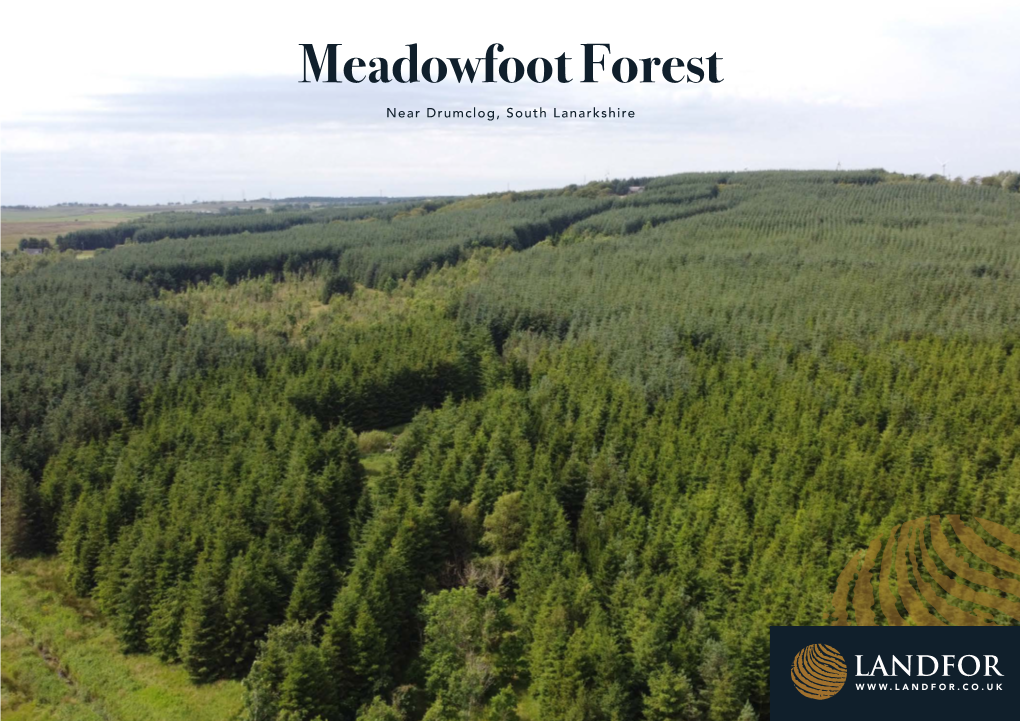 Meadowfoot Forest Near Drumclog, South Lanarkshire