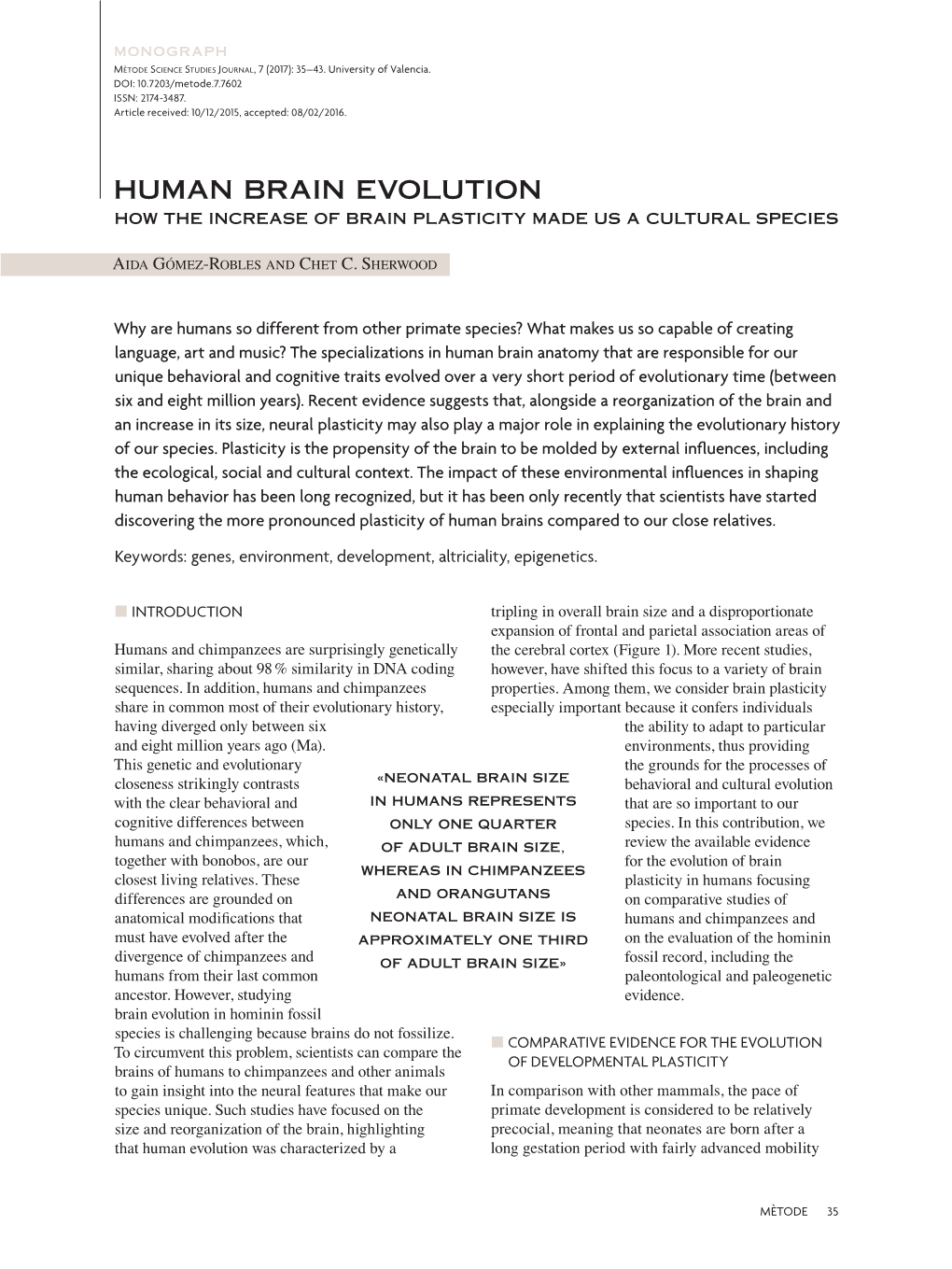 Human Brain Evolution How the Increase of Brain Plasticity Made Us a Cultural Species