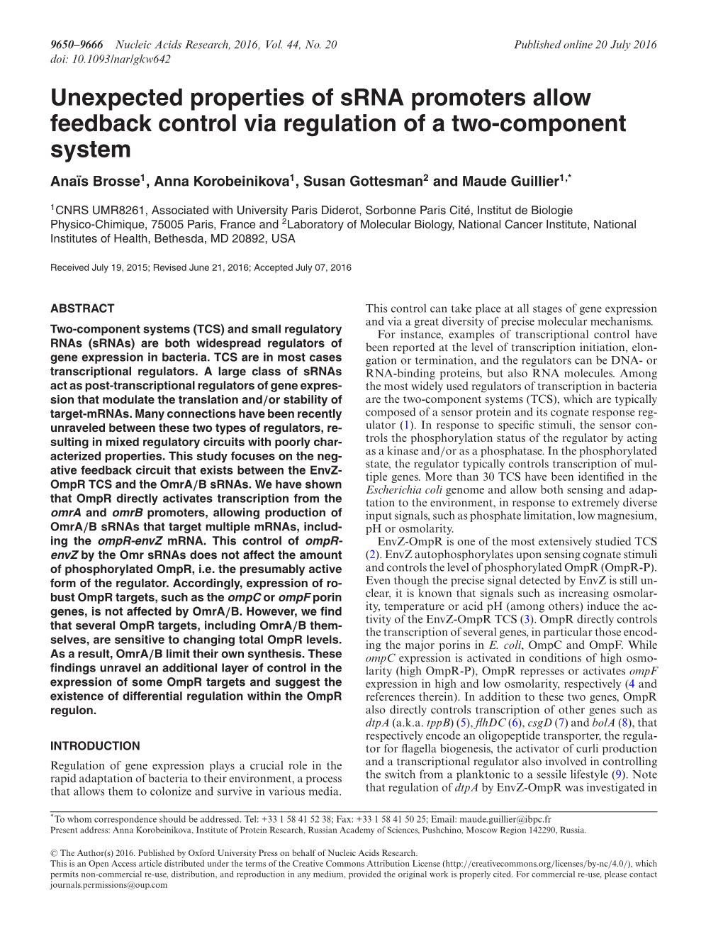 Unexpected Properties of Srna Promoters Allow Feedback Control