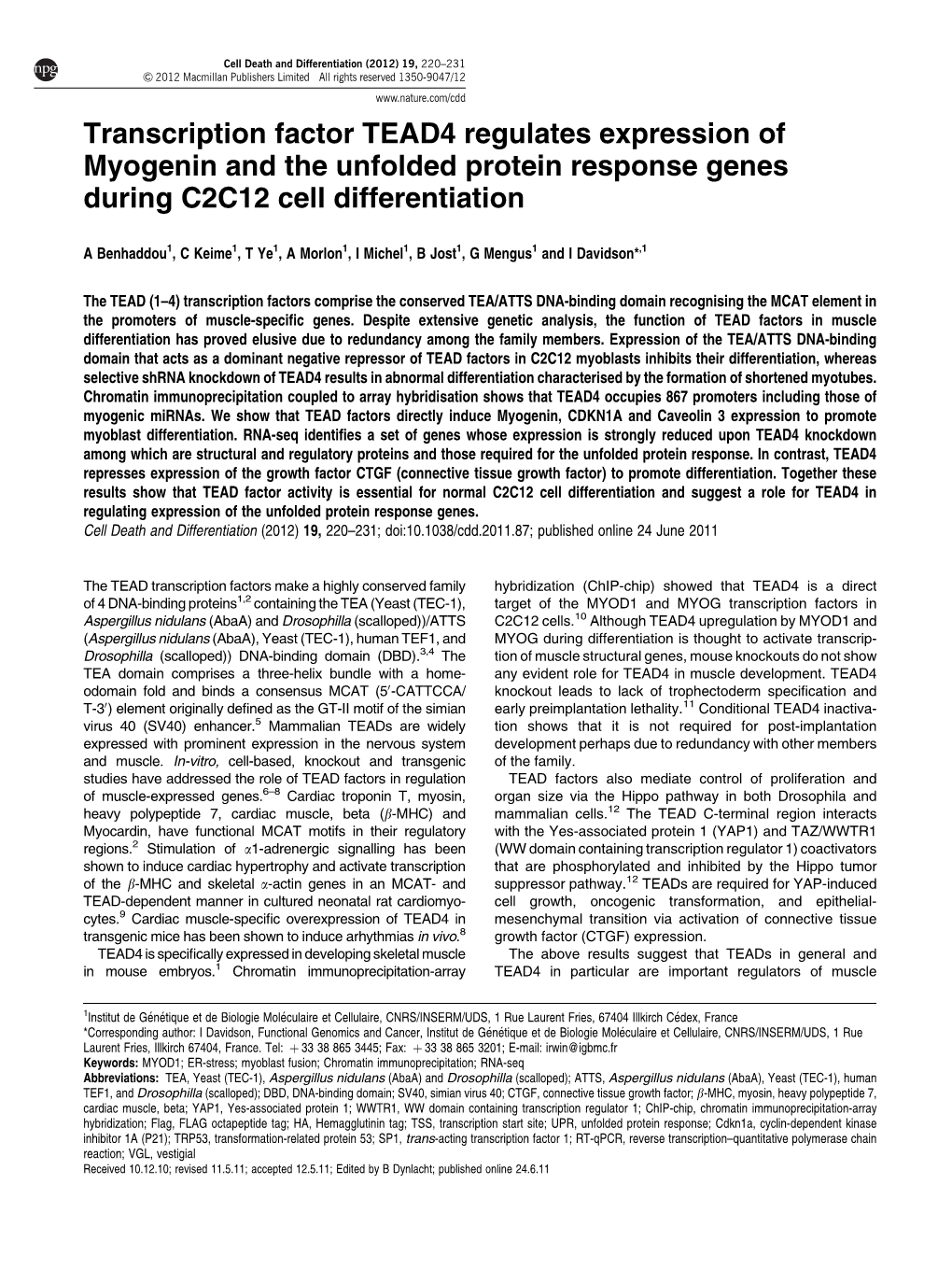 Transcription Factor TEAD4 Regulates Expression of Myogenin and the Unfolded Protein Response Genes During C2C12 Cell Differentiation