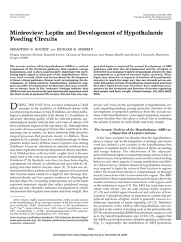 Minireview: Leptin and Development of Hypothalamic Feeding Circuits