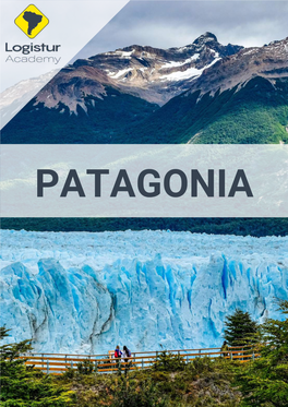 Patagonia Page 2