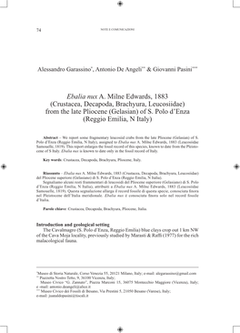 Ebalia Nux A. Milne Edwards, 1883 (Crustacea, Decapoda, Brachyura, Leucosiidae) from the Late Pliocene (Gelasian) of S