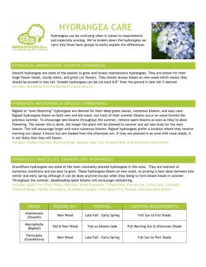 HYDRANGEA CARE Hydrangeas Can Be Confusing When It Comes to Requirements and Especially Pruning